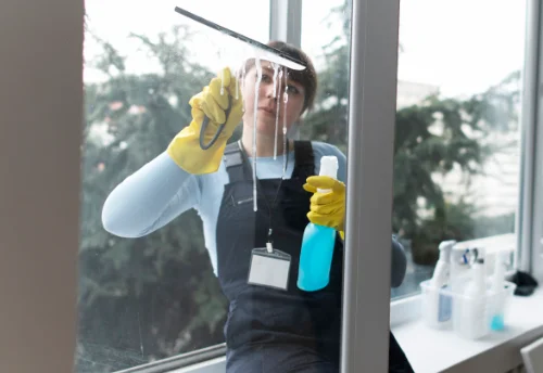 Nettoyage de vitres intérieures et extérieures à Perreuil